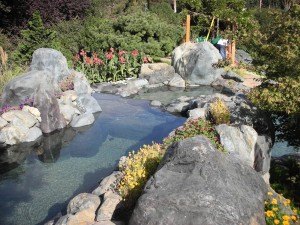 Materials: Yuba boulders, California River Stones