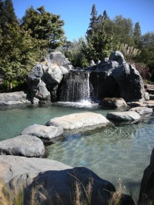 Materials: Yuba boulders, California River Stones