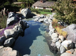 Materials: Yuba boulders, California River Stones